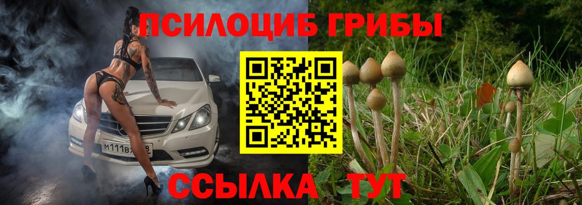 Краснознаменск  Псилоцибиновые грибы мухоморы  Вход с VPN 